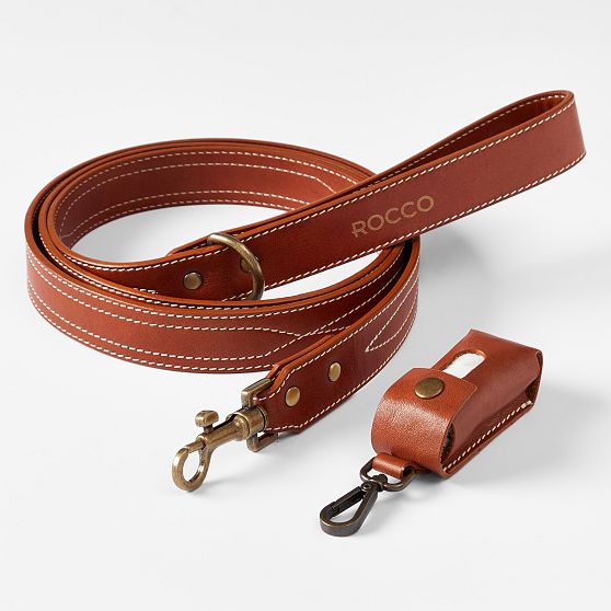 Carson Leather Dog Leash Set