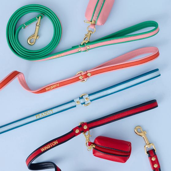 Two-Color Leather Dog Leash Set