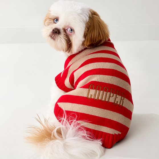 Striped Dog Sweater
