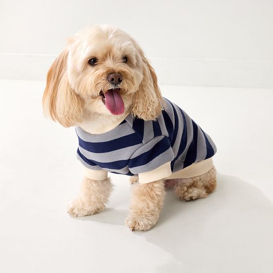 Striped Dog Sweatshirt