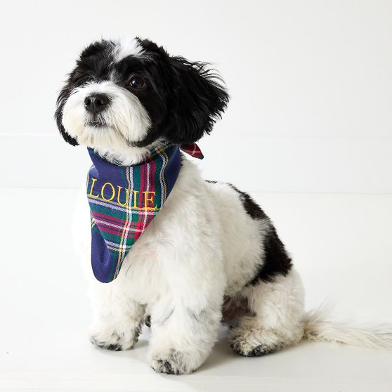 Patterned Dog Bandana