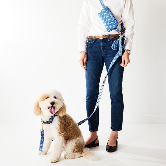 Block Print Dog Walking Crossbody Bag