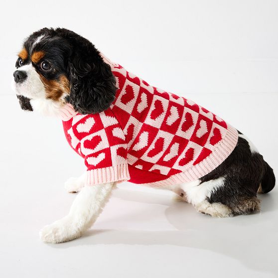 Knit Dog Sweater