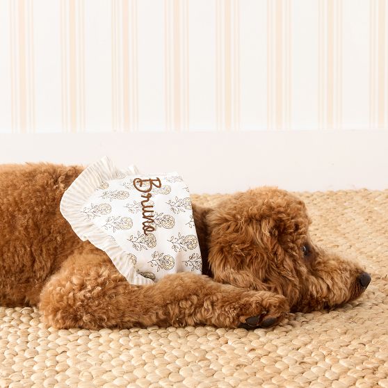 Ruffle Dog Bandana