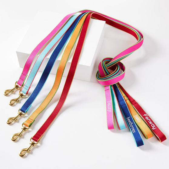 Colour Market Leash