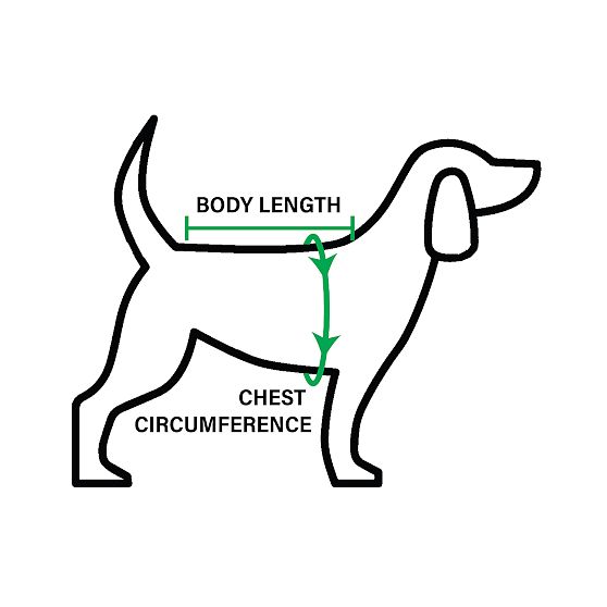 Lightweight Scalloped Pet Sweater