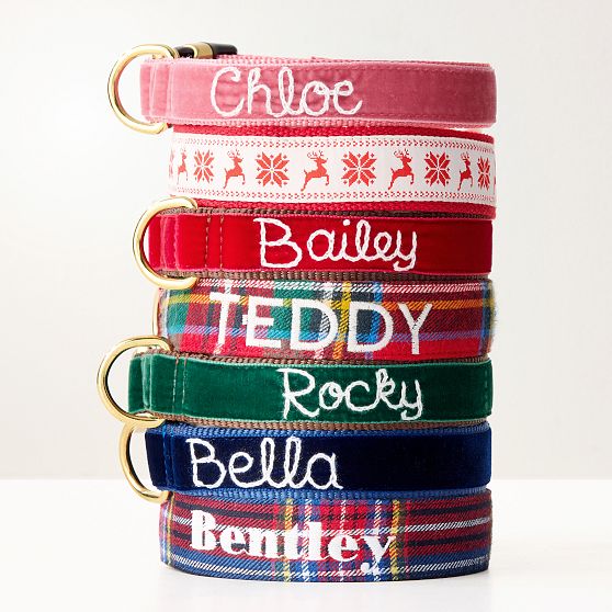 Hand-Embroidered Velvet Collar