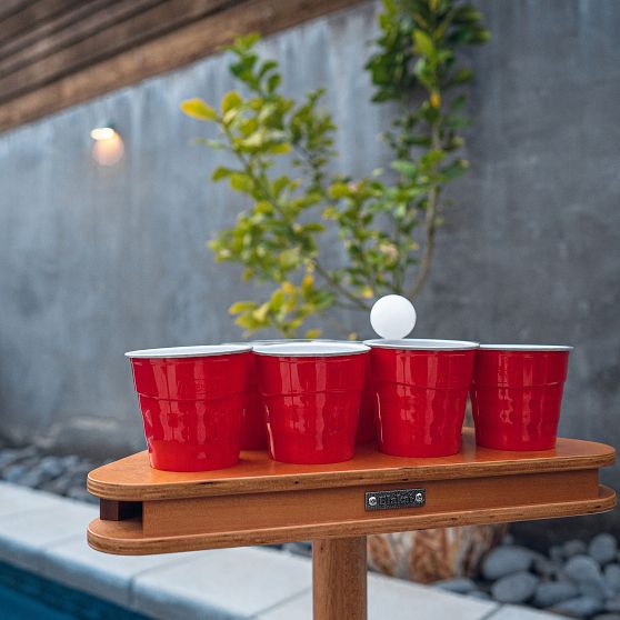 Portable Social Pong Game Set