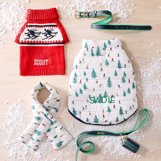 Two-Colour Leather Dog Leash Set