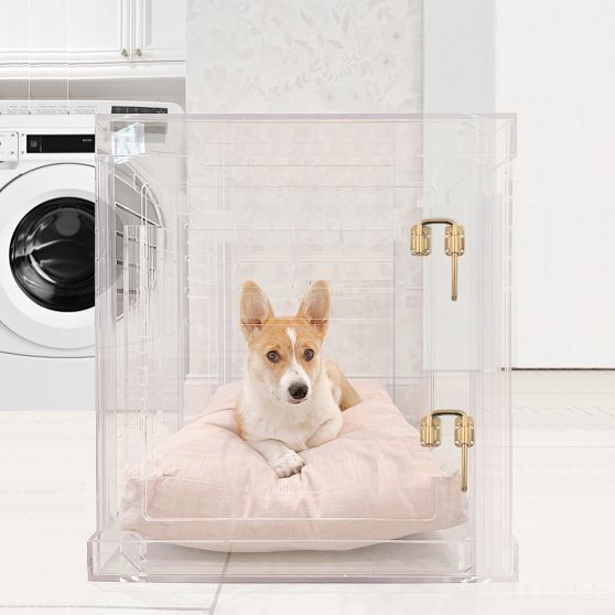 Hiddin Lucite Pet Crate with Cushion