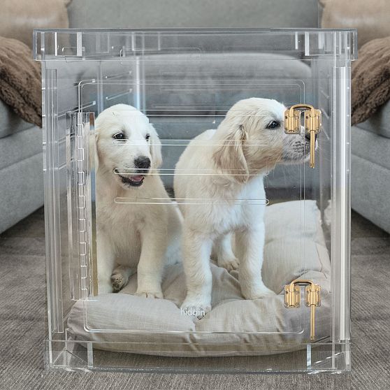 Hiddin Lucite Pet Crate with Cushion