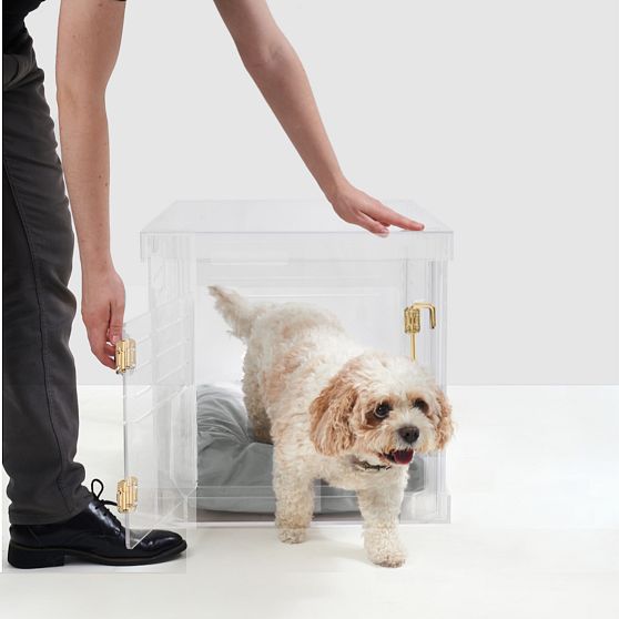 Hiddin Lucite Pet Crate with Cushion