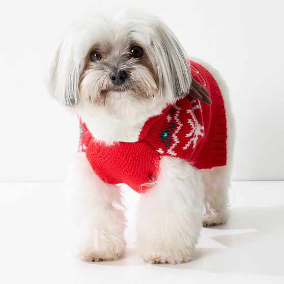 Reindeer Hooded Dog Sweater