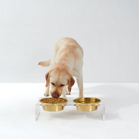 Hiddin Lucite Pet Feeder
