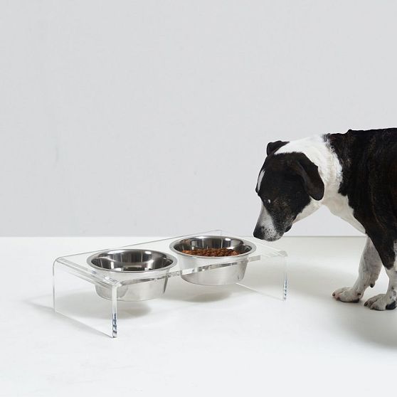 Hiddin Lucite Pet Feeder