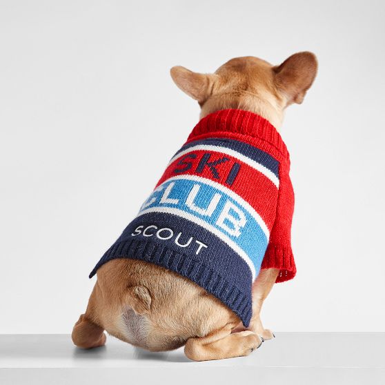 Knit Dog Sweater