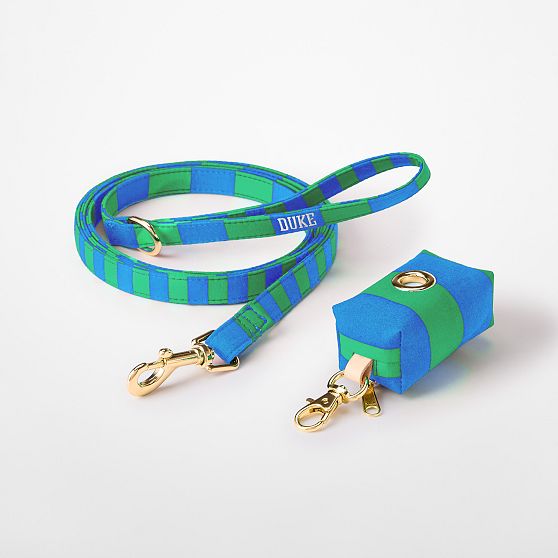 Cabana Stripe Dog Leash