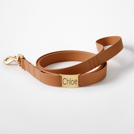 Waterproof Dog Leash