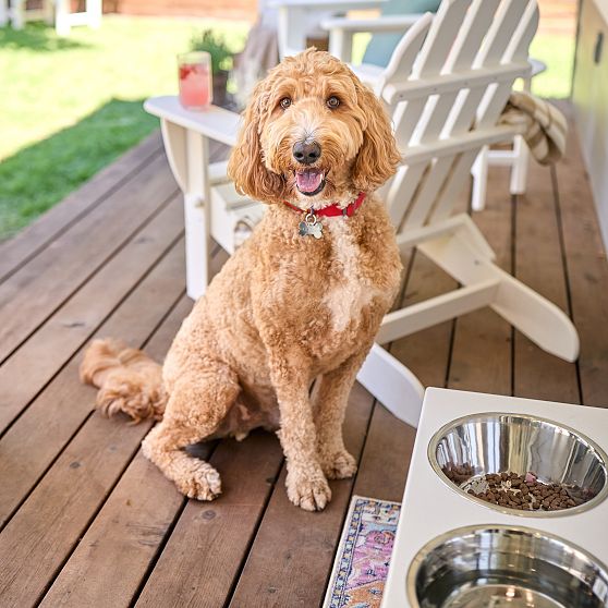 Polywood All-Weather Pet Feeder