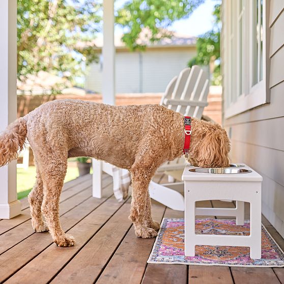 Polywood All-Weather Pet Feeder