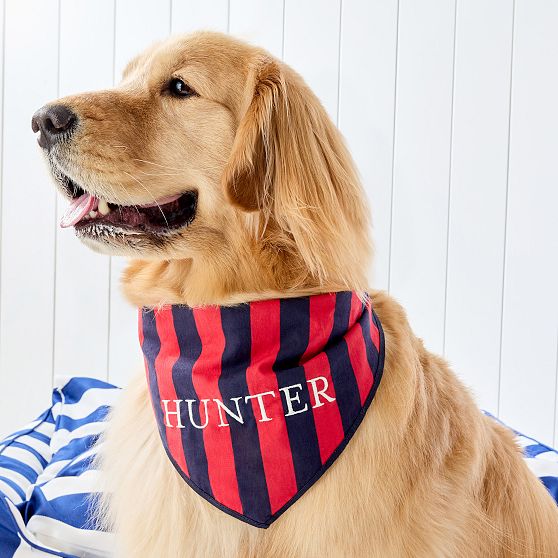 Cabana Stripe Dog Bandana