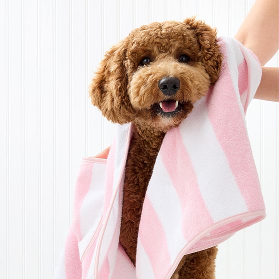 Cabana Stripe Terry Dog Towel