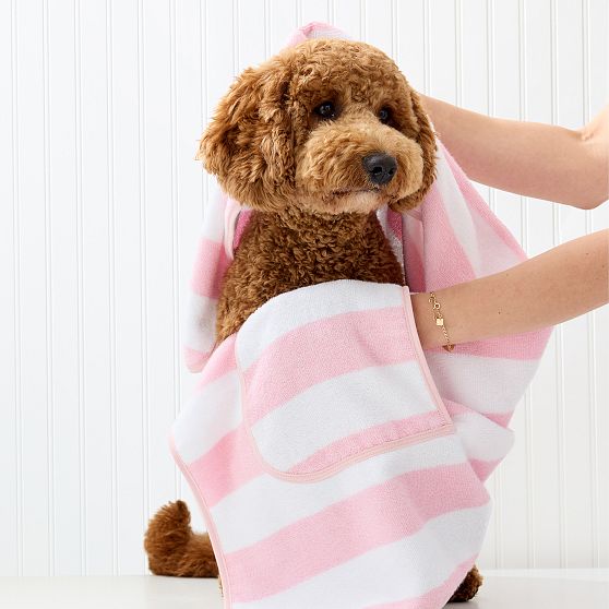 Cabana Stripe Terry Dog Towel