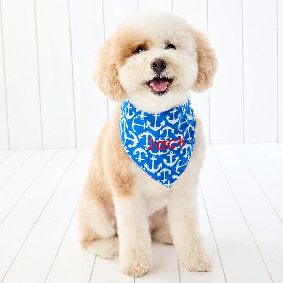 Coastal Patterned Dog Bandana