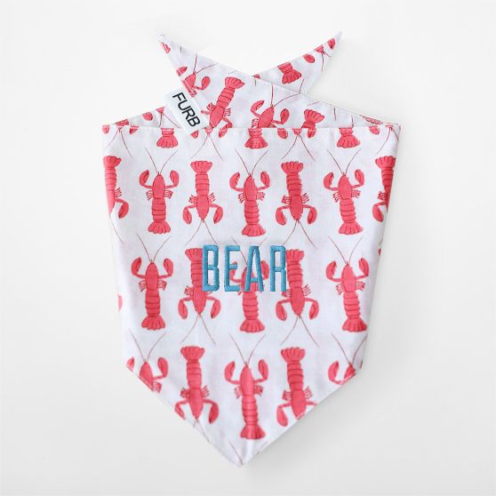 Coastal Patterned Dog Bandana
