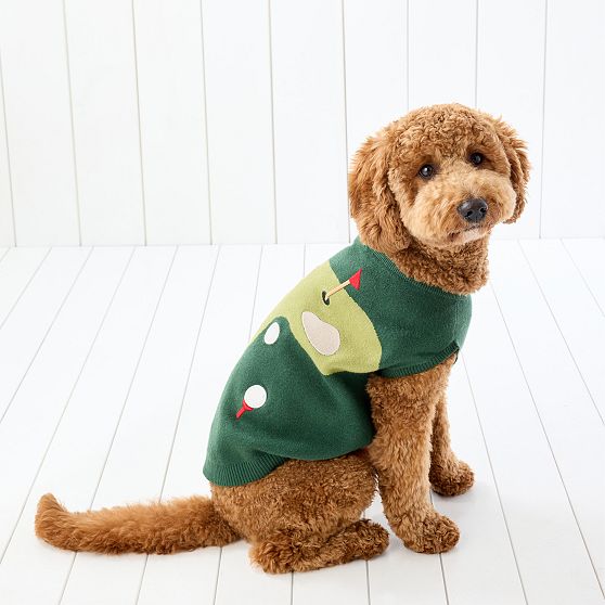 Country Club Knit Dog Sweater