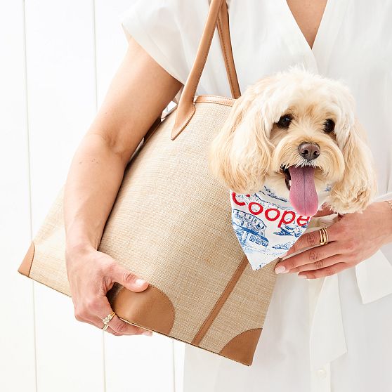 Montauk Raffia Dog Carrier Tote