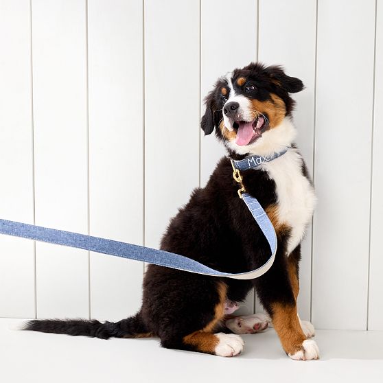 Hand-Embroidered Linen Dog Leash