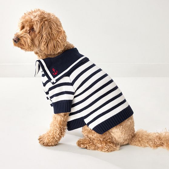 Sailor Dog Sweater