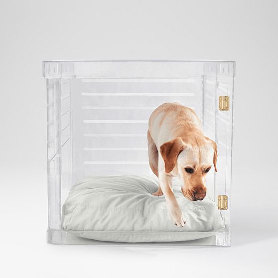 Hiddin Lucite Pet Crate with Cushion