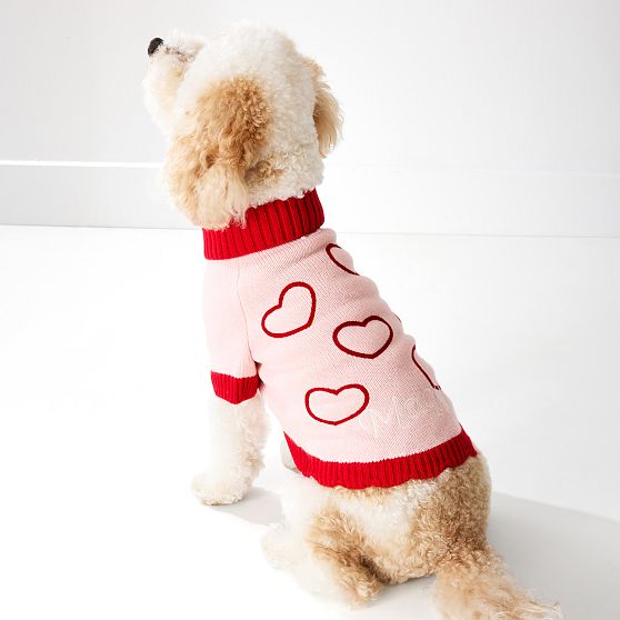 Knit Dog Sweater