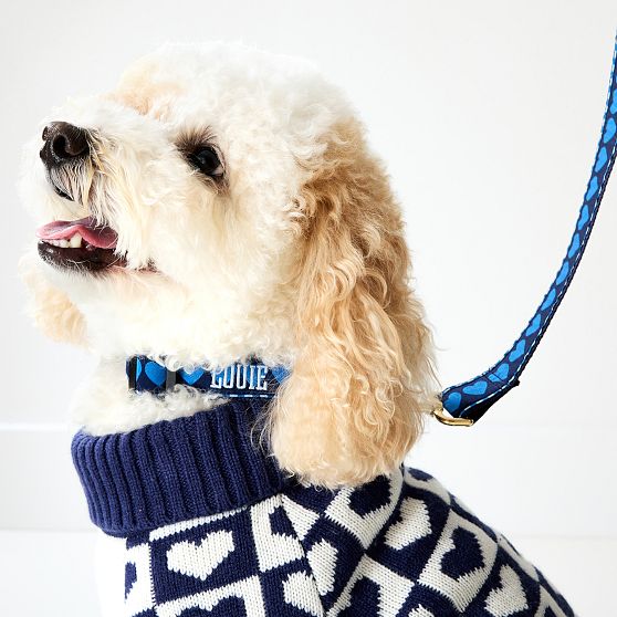 Ribbon Leash