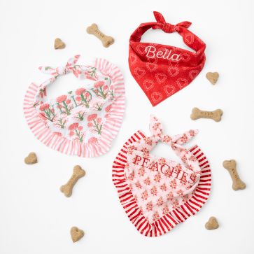 Gifts for Your Pet