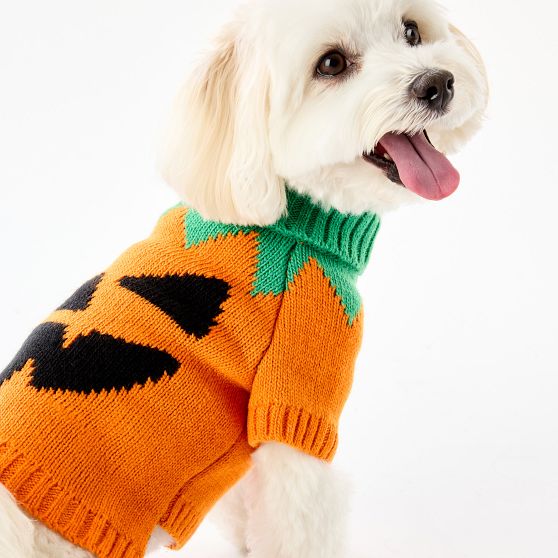 Halloween Knit Dog Sweater