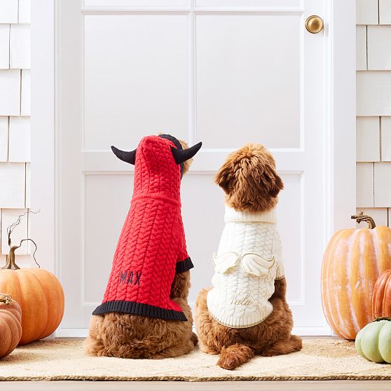 Halloween Knit Dog Sweater