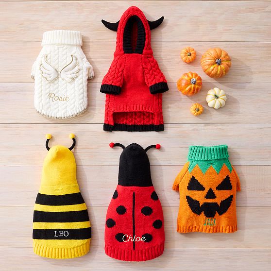 Halloween Knit Dog Sweater