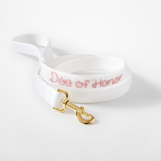 Hand-Embroidered Velvet Dog Leash