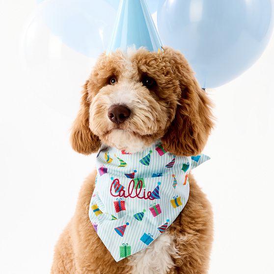 Patterned Dog Bandana