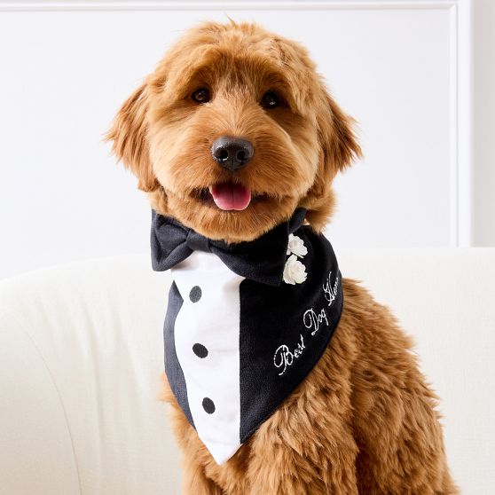Pet Wedding Bandana