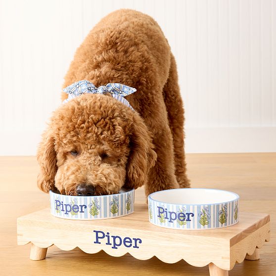 Ceramic Pet Bowl