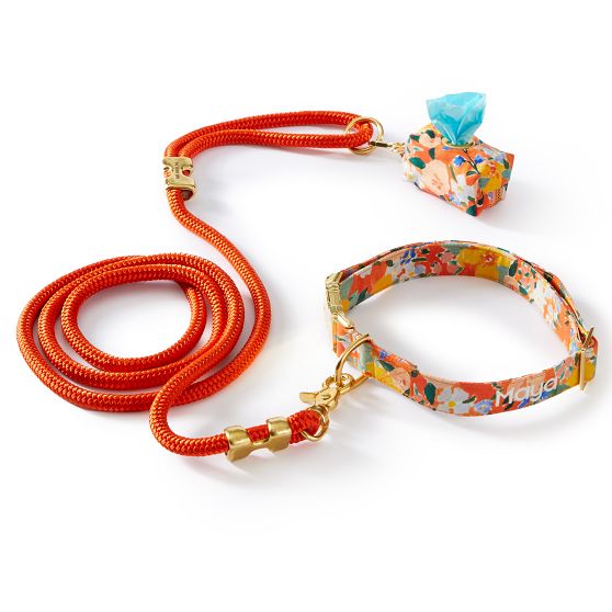The Foggy Dog Walk Set