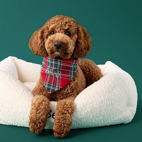 Patterned Dog Bandana