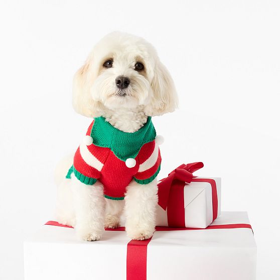 Knit Dog Sweater