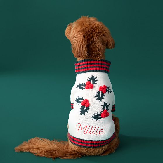 Knit Dog Sweater
