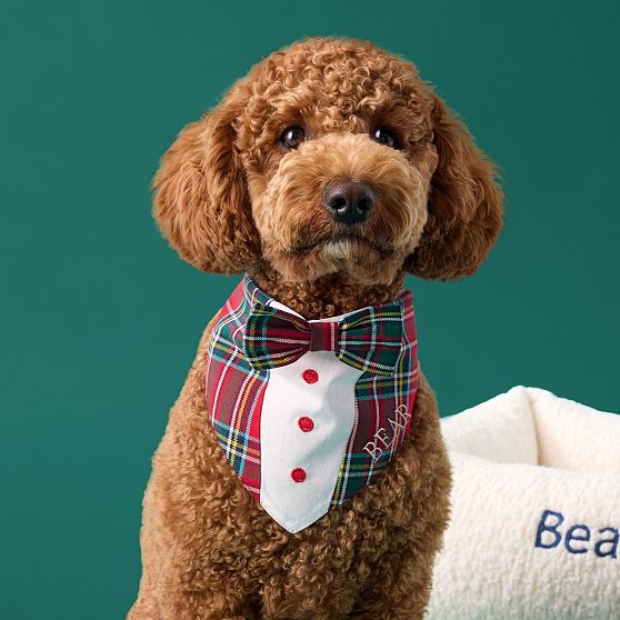 Holiday Tuxedo Dog Bandana