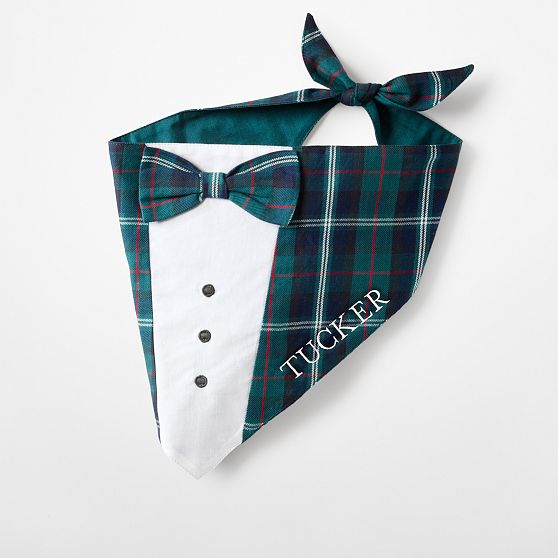 Holiday Tuxedo Dog Bandana